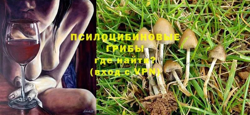 как найти   Абинск  mega как войти  Галлюциногенные грибы GOLDEN TEACHER 